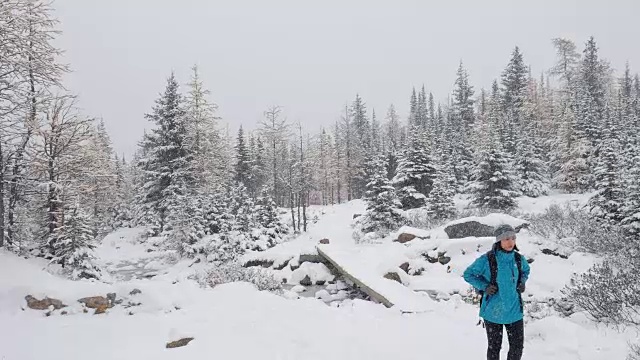 在松林里的新鲜冬雪上徒步旅行的妇女视频素材