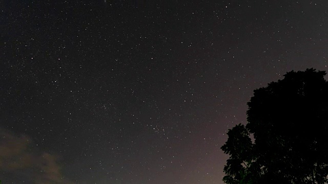 时光流逝星星和树在雾和露珠前视频下载