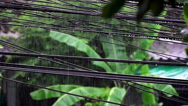 暴风雨在雨季带来雨水视频素材