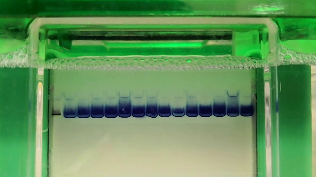 电泳分离蛋白质的科学实验视频素材