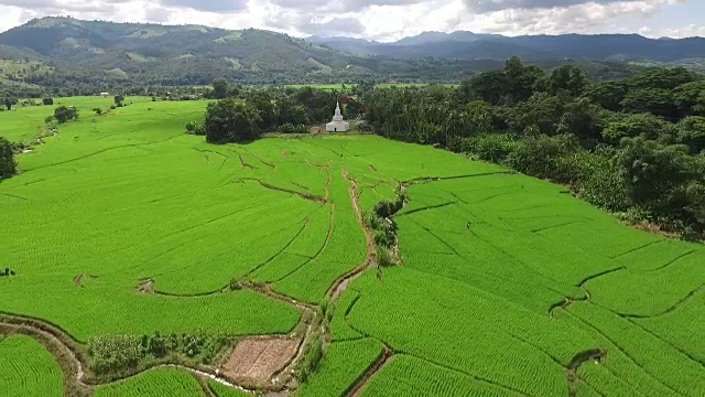 美丽的稻田景色视频素材