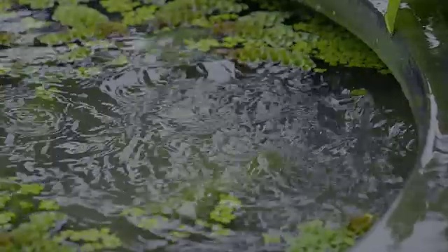 水滴落在水面上的SLO模。视频素材