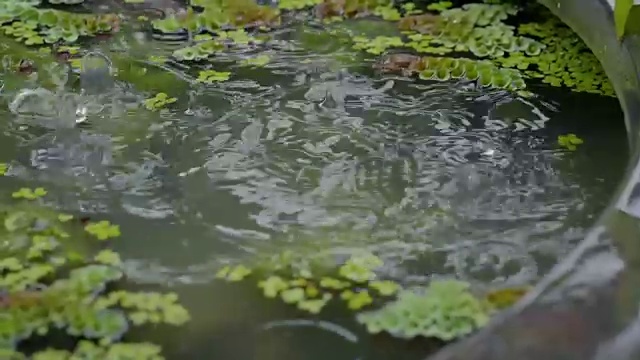 水滴落在水面上的SLO模。视频素材