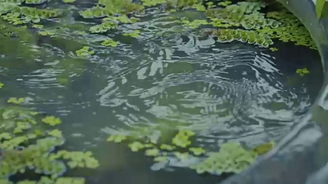 水滴落在水面上的SLO模。视频素材