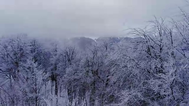 空中，飞翔在冰雪覆盖的雪山森林的荒野上。视频素材