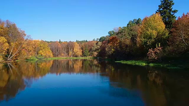 五彩缤纷的秋日森林在湖面上视频素材