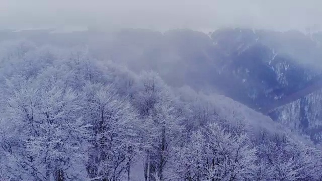 空中，飞翔在冰雪覆盖的雪山森林的荒野上。视频素材