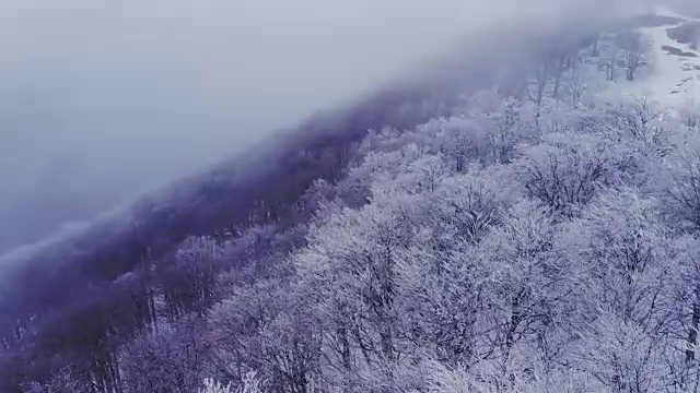 空中，飞翔在冰雪覆盖的雪山森林的荒野上。视频素材