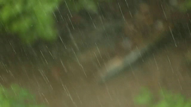 一场大雷雨带来的暴雨视频素材