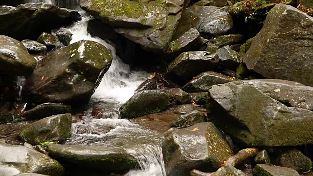 秋天，一条小溪从大烟山国家公园流下视频素材