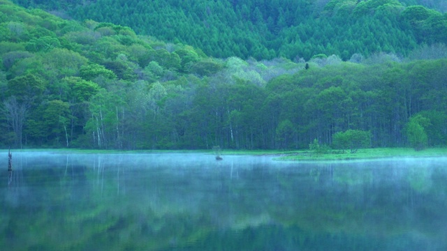 Kagami-ike(镜池)，长野，日本视频素材