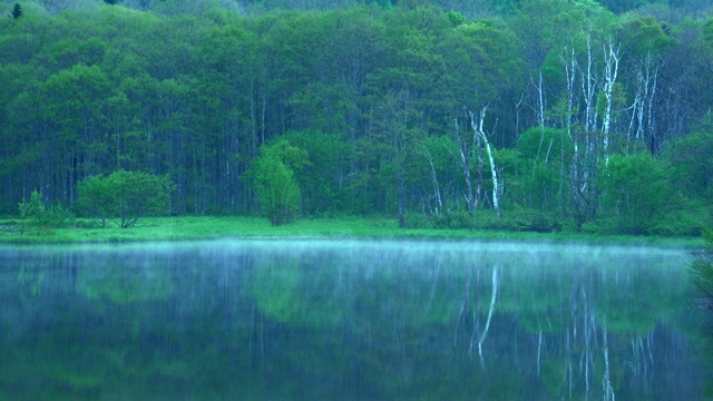 Kagami-ike(镜池)，长野，日本视频素材