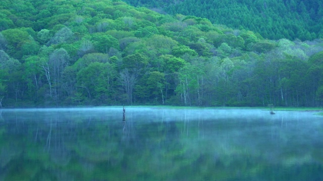 Kagami-ike(镜池)，长野，日本视频素材