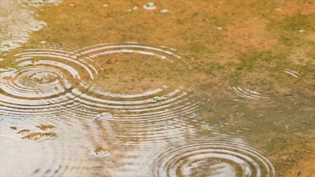 慢动作雨滴在淡水和自然的水视频素材