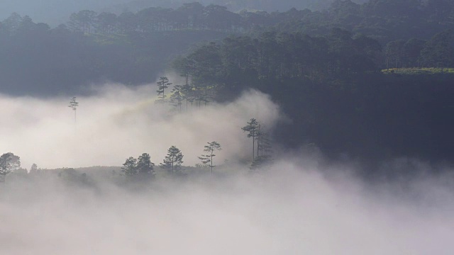 松山在晨雾中视频素材