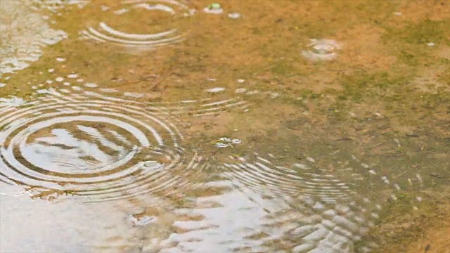 慢动作雨滴在淡水和自然的水视频素材