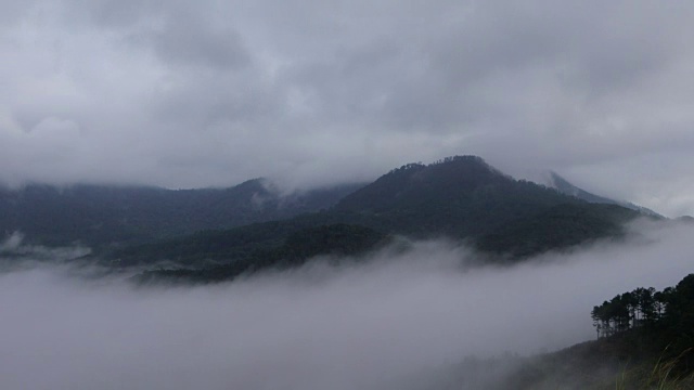 树雾和山在早晨视频素材