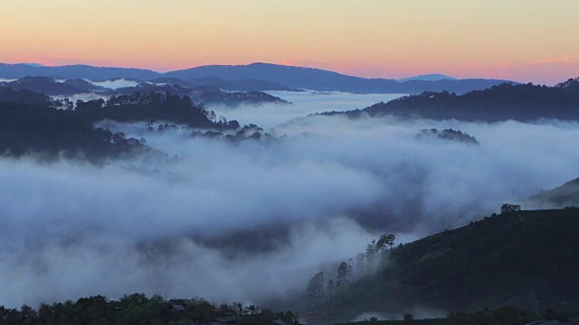 树雾和山在早晨视频素材