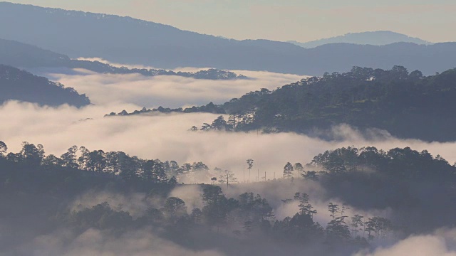 树雾和山在早晨视频素材