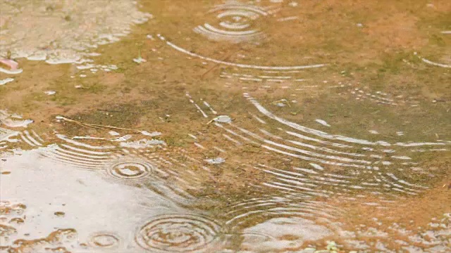 慢动作雨滴在淡水和自然的水视频素材