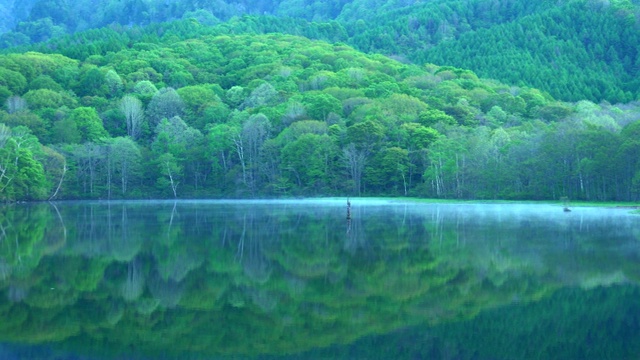 Kagami-ike(镜池)，长野，日本视频素材