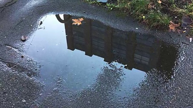 人行道上的雨坑反映了建筑物和天空。关闭了。视频素材