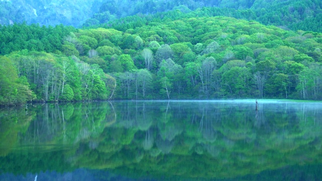 Kagami-ike(镜池)，长野，日本视频素材