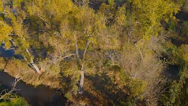 有小河的乡村景观(鸟瞰图)视频素材