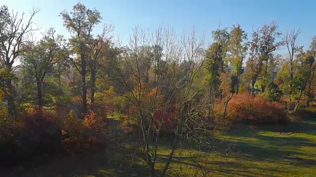 有小河的乡村景观(鸟瞰图)视频素材