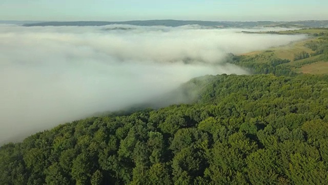 森林和山丘被雾覆盖的航拍时间流逝视频素材