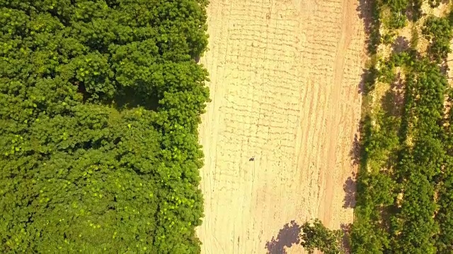 航拍农民在农田播种的画面视频素材