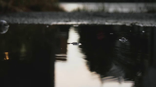 雨水坑和雨滴涟漪视频素材