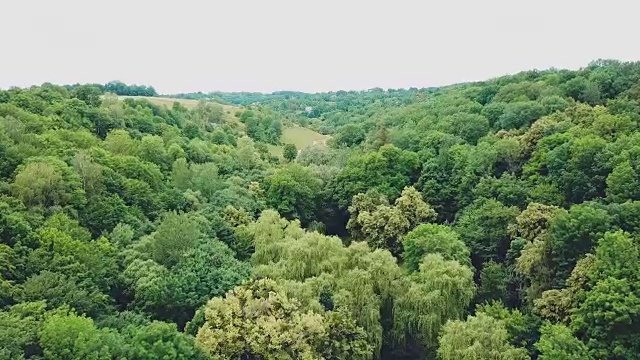 美丽的乡村景观，树木和河流。视频素材