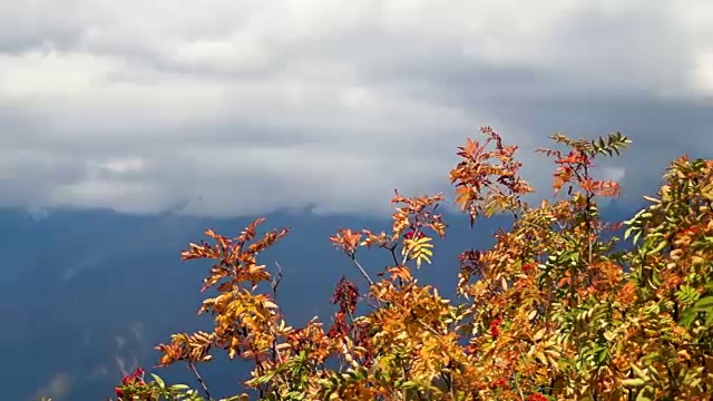 山间的秋天视频下载