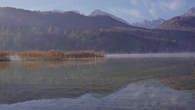 在Allgäu阿尔卑斯山Hopfensee湖的雾视频素材