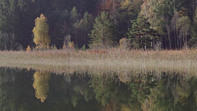 在Allgäu阿尔卑斯山的Schwansee湖的倒影视频下载