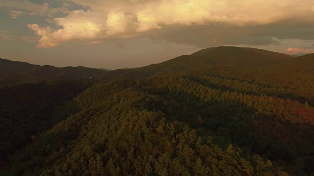 无人机-黄昏时烟雾山森林荒野的潘视频下载