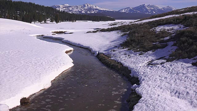 春天的黄石公园-杂项视频素材