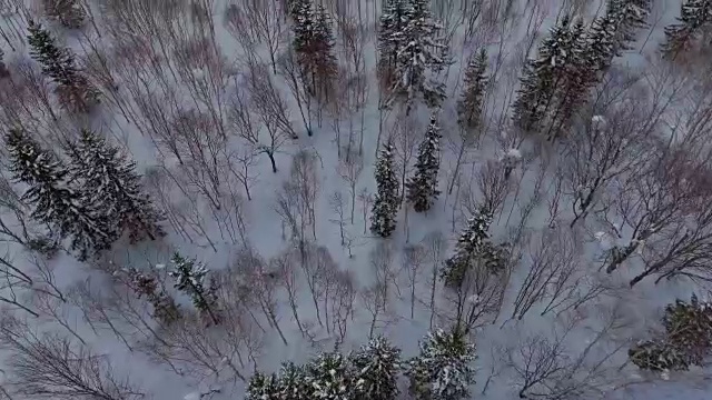 航拍雪域与山脉视频素材