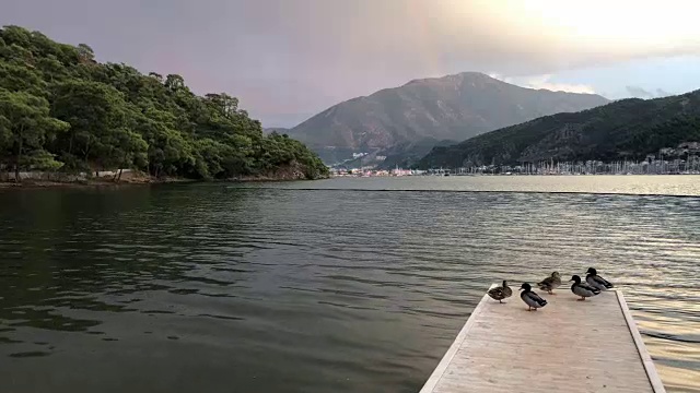 湖景视频素材