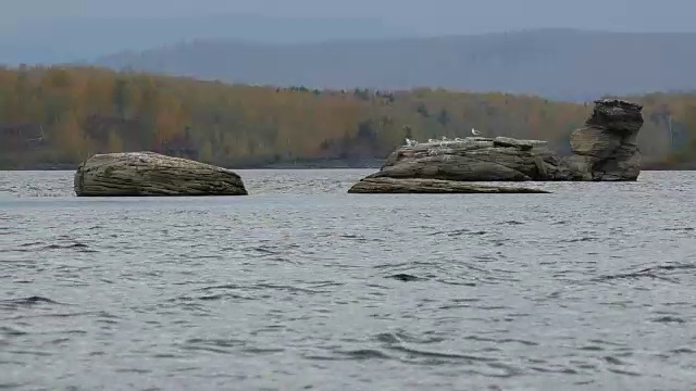 湖上的岩石群岛视频素材