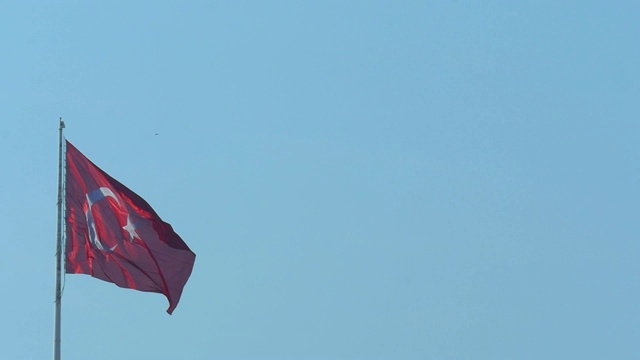 土耳其国旗飘扬，海鸥慢镜头飞翔。视频素材