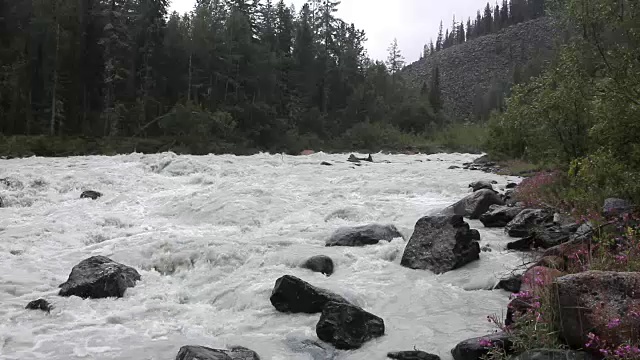 俄罗斯阿尔泰山阿克姆河视频素材