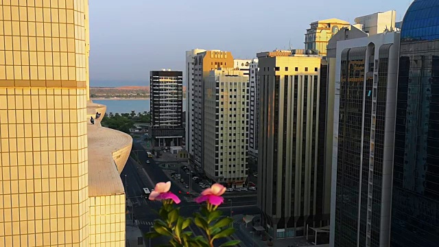 城市里美丽的日落。从阳台欣赏美丽的鲜花和鸟儿视频素材