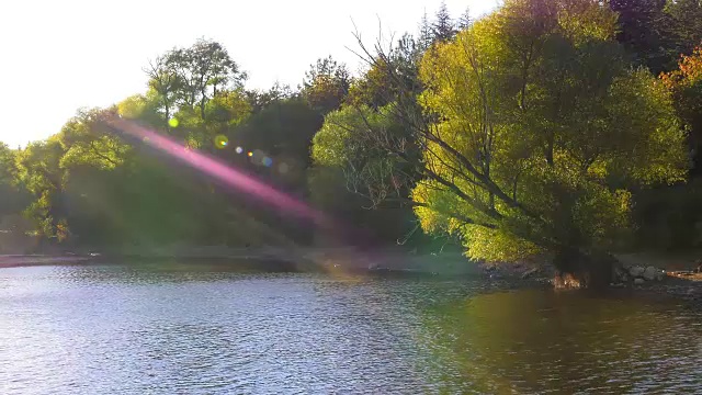 湖水和大自然中的树木视频素材