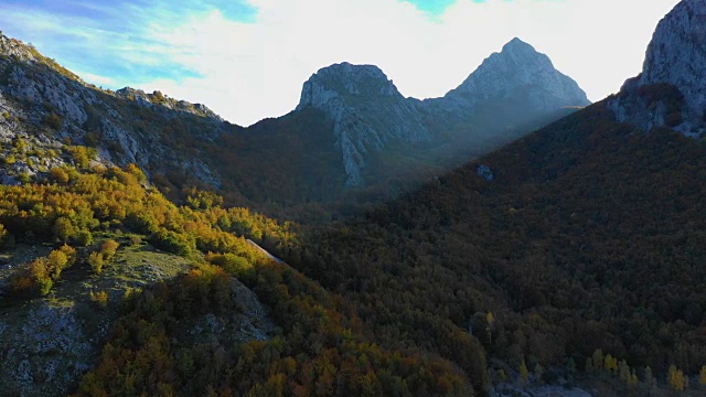 秋天的森林和山与阳光视频素材