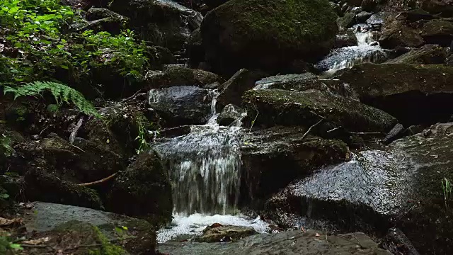 森林中的瀑布视频素材