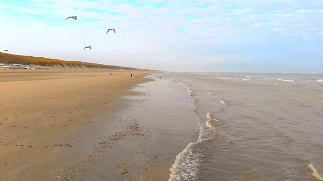 海鸥飞过北海。慢镜头120fps。荷兰，赞德沃海滩上的早晨视频素材