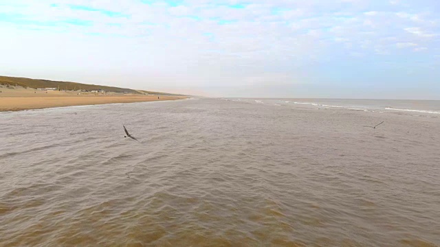 海鸥飞过北海。慢镜头120fps。荷兰，赞德沃海滩上的早晨视频素材