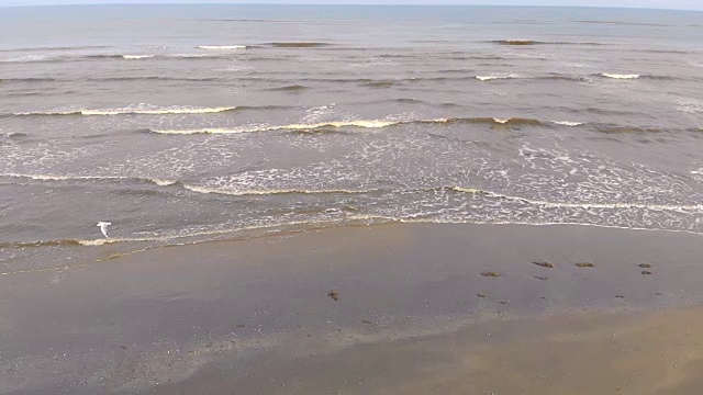 一浪一浪地涌向岸边，动作缓慢。海鸥飞过海浪视频素材